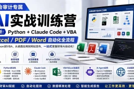 财会审计专属 AI实战训练营：Python Claude Code VBA，Excel/PDF/Word自动化全流程 (更新