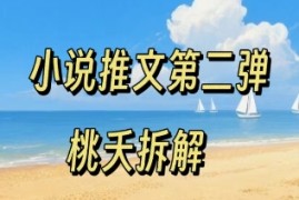 小说推文项目操作全流程第二弹，0粉就能做，门槛低非常适合新手