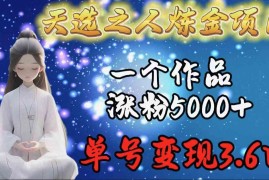 （9693期）天选之人炼金项目，一个作品涨粉5000 ，单号变现3.6w