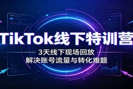 TikTok线下特训营：3天线下现场回放，解决账号流量与转化难题