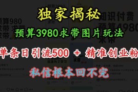 预算3980求带 图片玩法，单条日引流500 精准创业粉，私信根本回不完