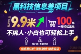 黑科技信息差项目，一单利润9.9米，一天简简单单出100单，不挑人，小白也可轻松上手【揭秘】