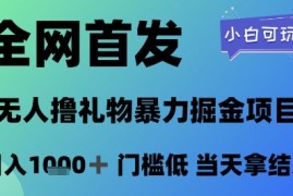 全网首发，无人直播撸礼物暴力掘金项目，小白可玩，日入1k  门槛低，当天拿结果【揭秘】