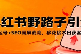 小红书野路子引流，暴力起号 SEO霸屏截流，移花接木日获客100 