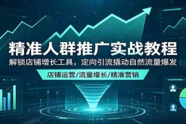 精准人群推广实战教程：解锁店铺增长工具，定向引流撬动自然流量爆发