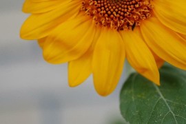 手机大权(华为折叠手机大全)