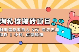 淘私域搬砖项目，利用信息差月入 5W，每天无脑操作 1 小时，后期躺赚