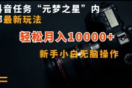 抖音任务“元梦之星”内部最新玩法，新手小白无脑操作，轻松月入10000 【揭秘】