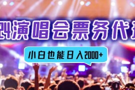 （12867期）2024演唱会票务代理，全网最低价票务渠道，小白也能轻松日入2000 