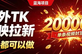 海外TK拉新新玩法，剪映就能做，不用经验不用粉丝，单条视频收益上限20000 