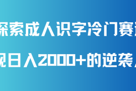 探索成人识字冷门赛道，实现日入2000 的逆袭人生！