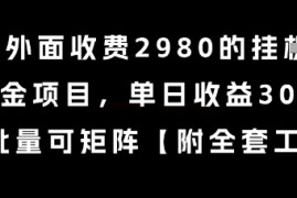 外面收费2980的挂G撸美金项目，单日收益30 美金，可批量可矩阵【揭秘】