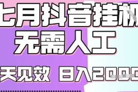 2025七月最新抖音挂G撸金项目，小白当天也能拿结果，单号产出2k ，小白当天上手【揭秘】