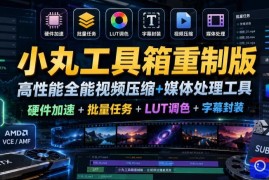 小丸工具箱重制版–高性能全能视频压缩 媒体处理工具｜硬件加速 批量任务 LUT调色 字幕封装