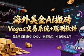 海外美金操盘手技术，Vegas交易技术 聪明软件，日赚50-1000U，长期稳定，小白轻松上手。