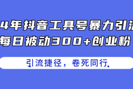 （11354期）24年抖音工具号暴力引流，每日被动300 创业粉，创业粉捷径，卷死同行