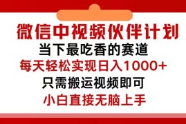 （12017期）微信中视频伙伴计划，仅靠搬运就能轻松实现日入500 ，关键操作还简单，…