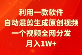 利用一款软件，自动混剪生成原创视频，一个视频全网分发，月入1W 