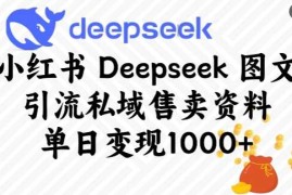 小红书Deepseek图文引流私域售卖资料，单日变现多张