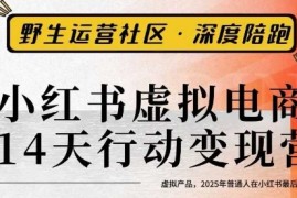 小红书虚拟电商14天变现训练营3.0，虚拟产品，2025年普通人在小红书最后的搞钱机会