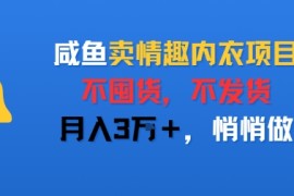 咸鱼卖情趣内衣项目，不囤货，不发货，月入3W ，悄悄做