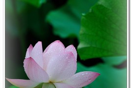 手机论坛(手机论坛网站哪个好)