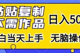 粘贴复制，无需作品，日入500 ，小白当天上手，无脑操作