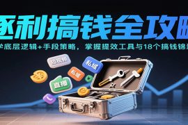 逐利搞钱全攻略：学底层逻辑 手段策略，掌握提效工具与18个搞钱锦囊