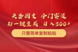 （10039期）头条图文 冷门赛道 只需简单复制粘贴 几分钟一条作品 日入300 