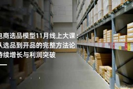电商选品模型11月线上大课：从选品到开品的完整方法论 持续增长与利润突破