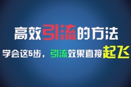 高效引流的方法，可以帮助你日引300 创业粉，一年轻松收入30万，比打工强太多！