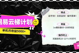 （10063期）最新网易云梯计划网页版，单机月收益5000 ！可放大操作