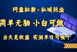 （15744期）网盘拉新 私域玩法，简单无脑，小白可做，当天见收益，实测单日可破千
