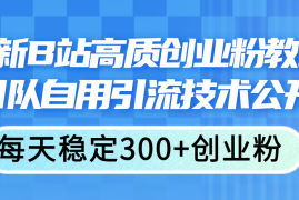 （11661期）最新B站高质创业粉教程，团队自用引流技术公开，每天稳定300 创业粉