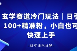 玄学赛道冷门玩法，日引100 精准粉，小白也可快速上手