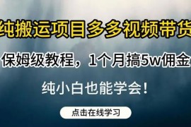多多视频带货，纯搬运一个月搞了 5W 佣金，小白也能操作【揭秘】