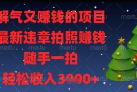 解气又挣钱的项目，最新违章拍照挣钱，随手一拍，轻松收入多张【揭秘】