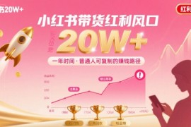一年时间靠小红书带货项目年入20w ，最不能错的大红利项目