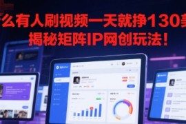 为什么有人刷视频一天就挣130美刀？揭秘矩阵IP网创玩法!