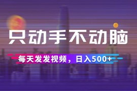 （12433期）只动手不动脑，每天发发视频，日入500 