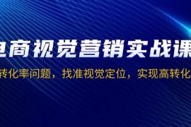 （13786期）电商视觉营销实战课，解决转化率问题，找准视觉定位，实现高转化目标