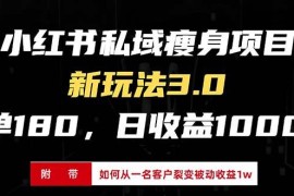 （13348期）小红书瘦身项目3.0模式，新手小白日赚收益1000 （附从一名客户裂变收益…