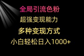 （9680期）全局引流色粉 超强变现能力 多种变现方式 小白轻松日入1000 