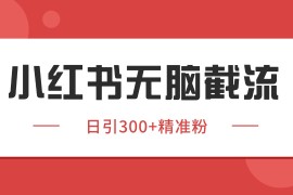 小红书截流同行客源，独家野路子获客玩法 日引200 暴力获客