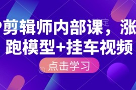 IP剪辑师内部课，涨粉跑模型 挂车视频(更新)
