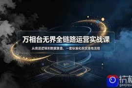 万相台无界全链路运营实战课，从底层逻辑到数据复盘，一套标准化投放落地流程