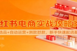 小红书电商实战攻略3.0：开店选品 自动运营 测款怼款，新手快速起店盈利