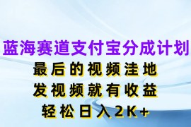蓝海赛道支付宝分成计划，最后的视频洼地，发视频就有收益，轻松日入2K 
