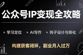 （17523期）公众号IP变现全攻略-更新，学习定位、AI写作、钩子设计与转化，构建获客闭环，副业月入过万