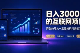 日入3k 的互联网项目，网红的尽头是带货，网创的尽头一定是知识付费卖项目【揭秘】